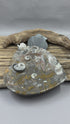 Ammonite and Fossils Heart Plate